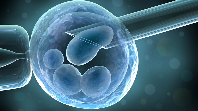 PGT / PID – Präimplantationsdiagnostik